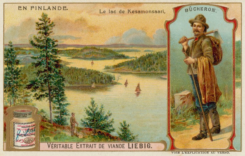 Leñador y Lago y Bosques Cerca de Kesamonsaari de European School