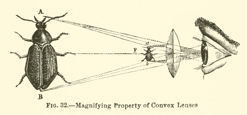 Propiedad de Magnificación de Lentes Convexas de European School