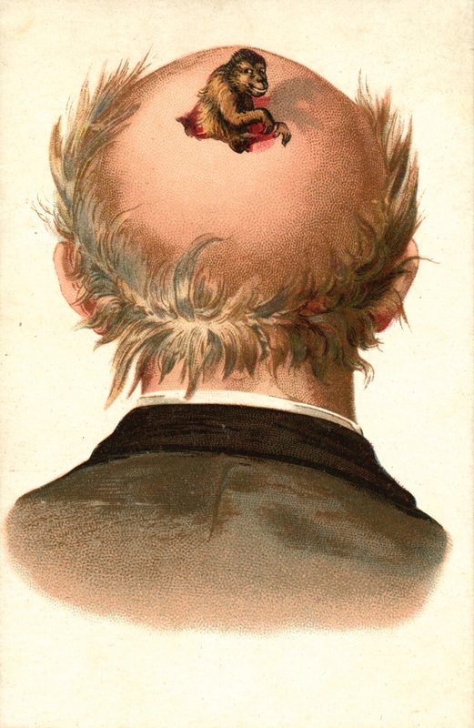 Cabeza masculina - con mono trepando (cromolito) de European School