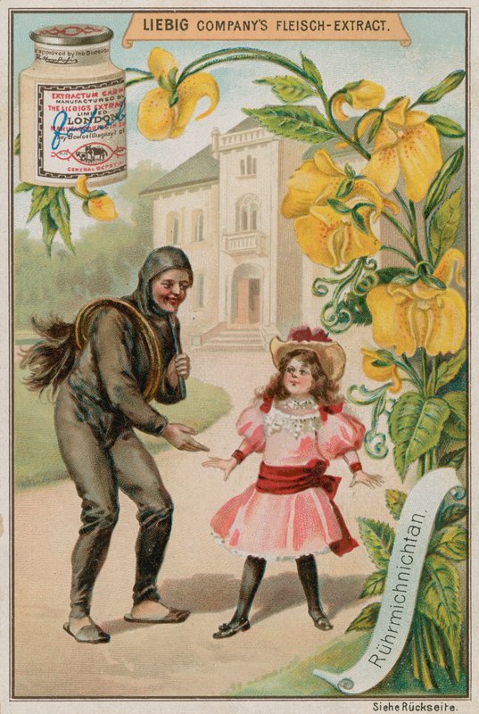 Mimosa de European School