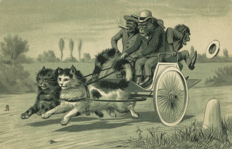 Monos conduciendo un carruaje tirado por dos gatos (litografía) de European School