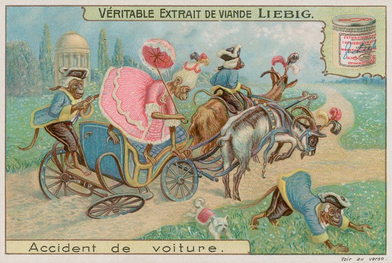 Monos en un carruaje de European School