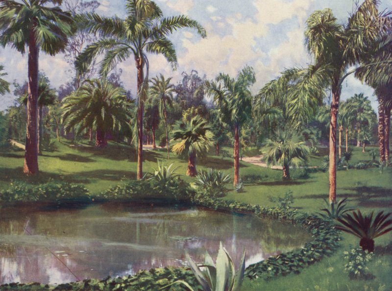 Monte-Carlo, Le Jardin du Casino (litografía en color) de European School