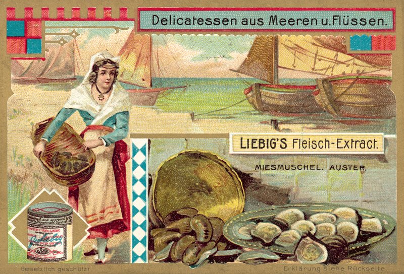 Mejillones y ostras de European School