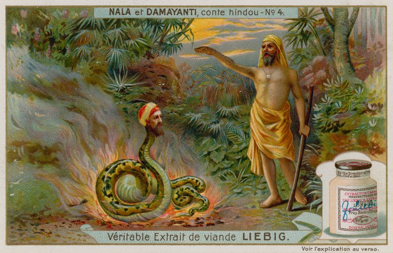 Nala salva a la serpiente Naga Karkotaka de European School