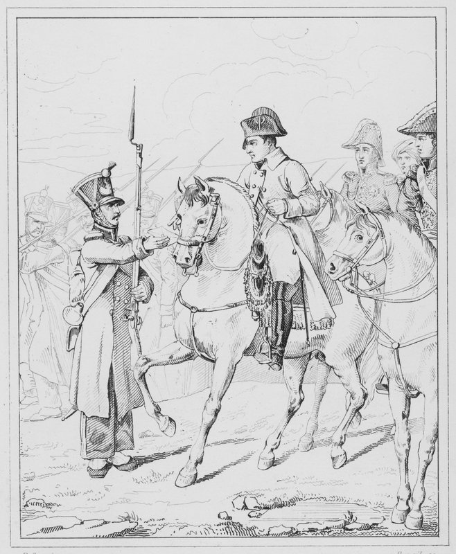 Napoleón: Sire, mi madre es una mujer vieja e inválida de European School