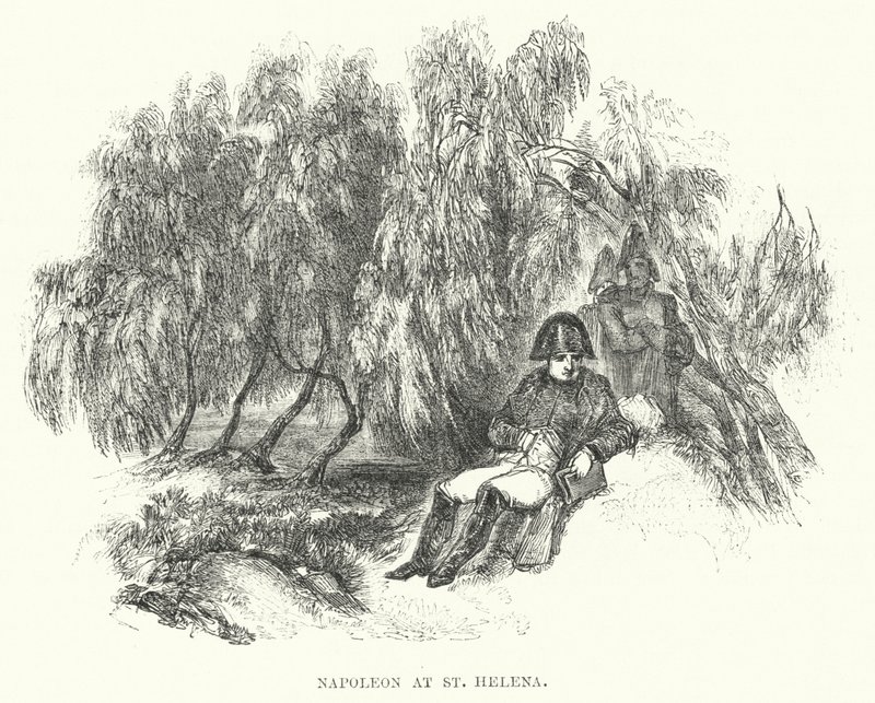 Napoleón en Santa Elena de European School