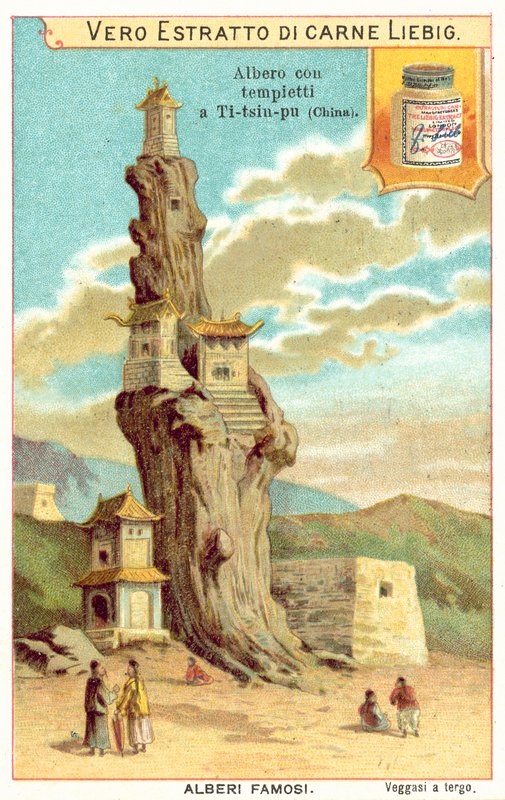Árbol viejo con templos en China de European School