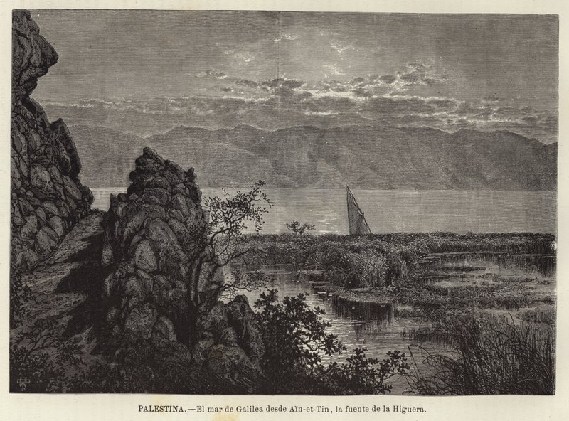 El mar de Galilea desde Ain-et-Tin, la fuente de la Higuera de European School