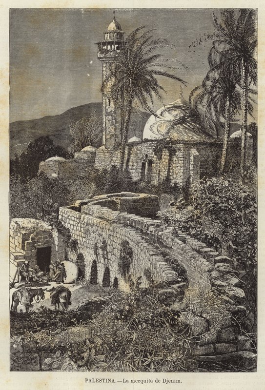 La mezquita de Djenim de European School