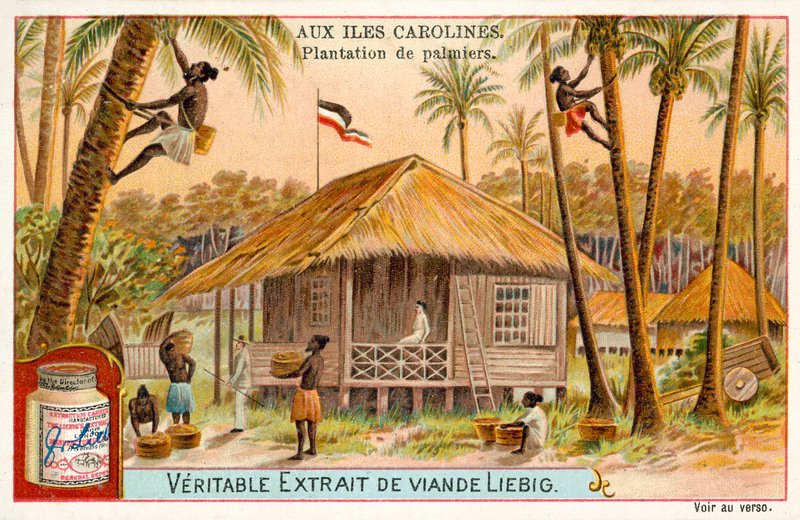 Plantación de palmas, Islas Carolinas (cromolitografía) de European School