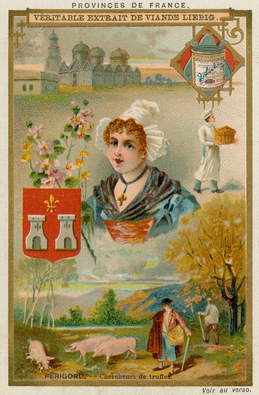 Périgord de European School