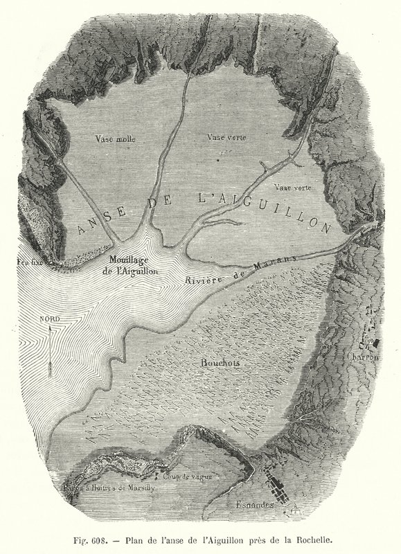 Plano de la ensenada de L