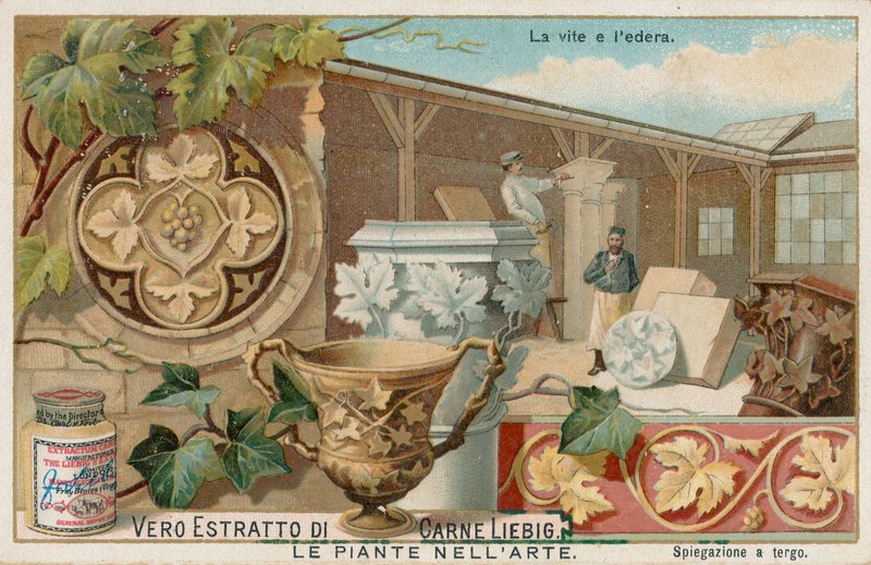 Plantas en el arte, tarjeta Liebig, principios del siglo XX (cromo) de European School