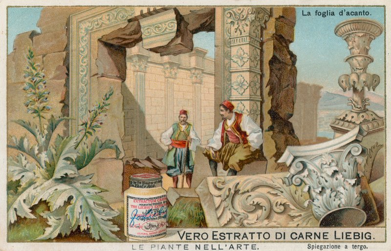 Plantas en el arte, tarjeta Liebig, principios del siglo XX (cromo) de European School