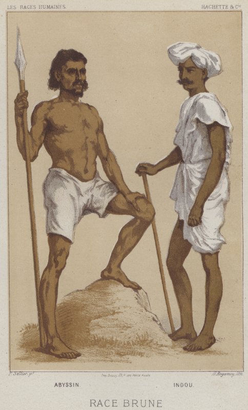 Raza Morena, Abisinio, Hindú de European School