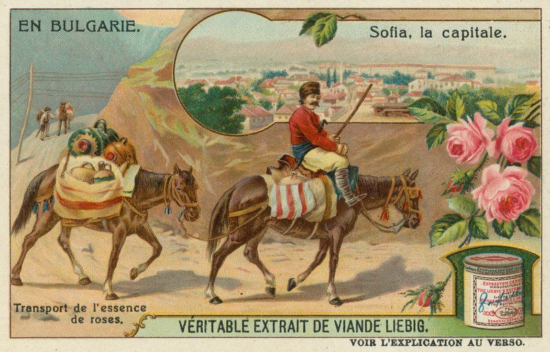 Sofía y un comerciante transportando esencia de rosa de European School