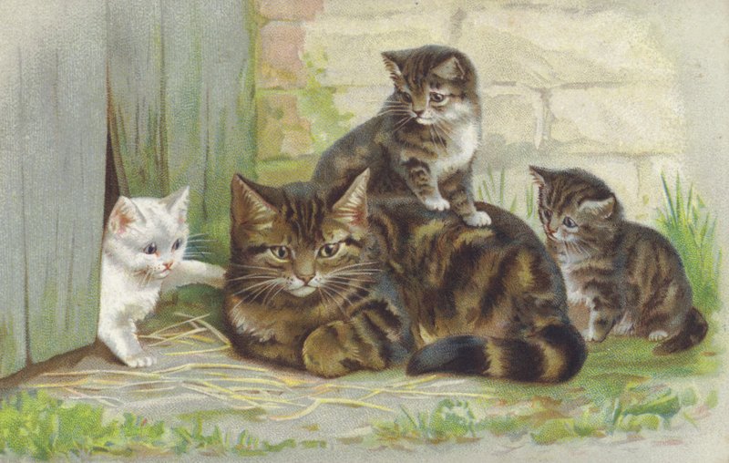 Gata atigrada con tres gatitos (cromolito) de European School