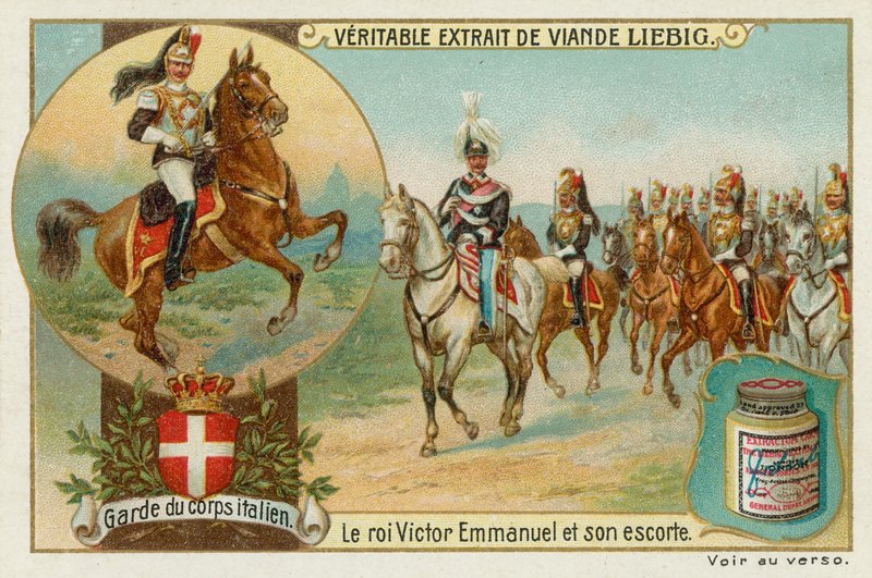 La guardia del cuerpo del rey de Italia de European School