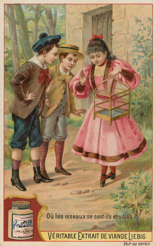 Los Pájaros Perdidos de European School