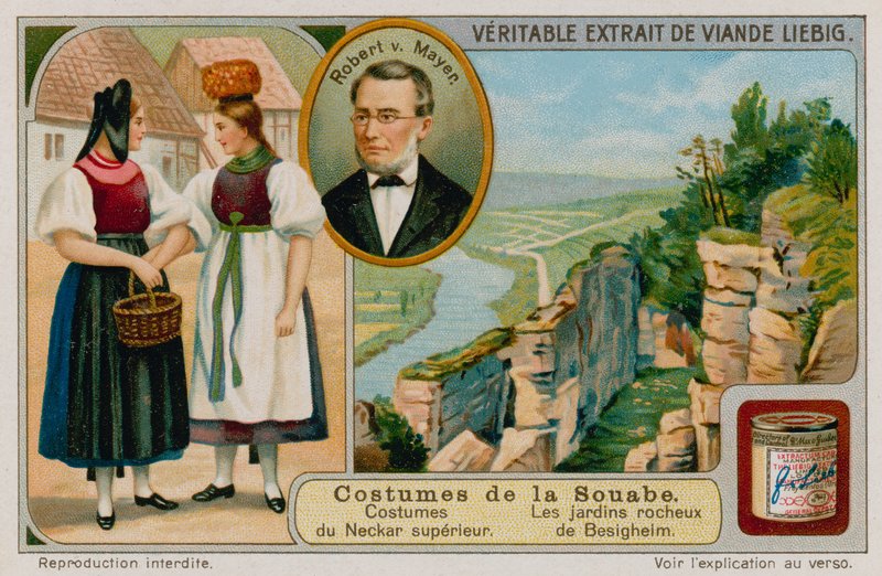 La ropa del río Neckar Superior, Julius Robert von Mayer y los jardines de rocas de Besigheim de European School