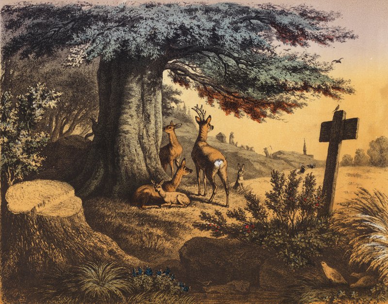Bajo la sombra de la haya están la ardilla, el corzo, la cierva y el cervatillo (litografía en color). de European School