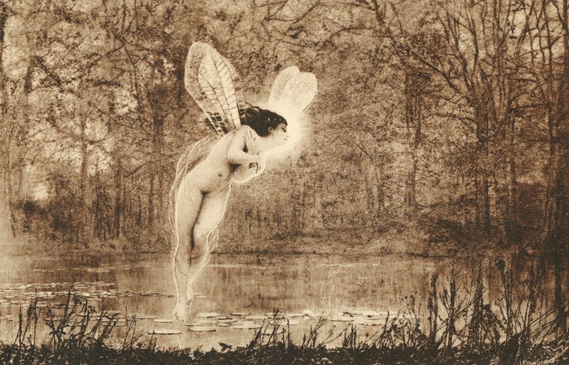 Ninfa acuática flotando sobre el agua (litografía) de European School