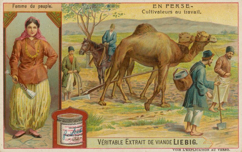 Mujer y Agricultores Trabajando de European School