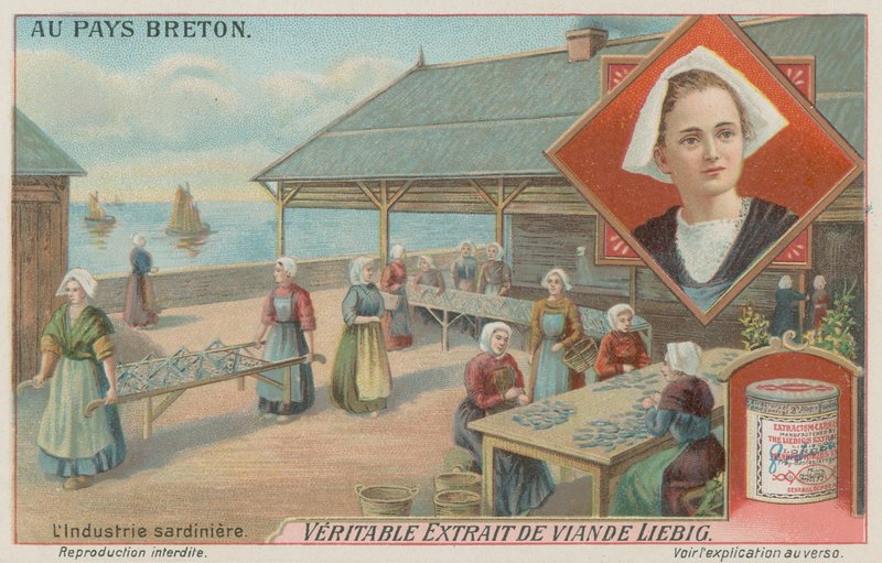 Mujeres preparando sardinas de European School