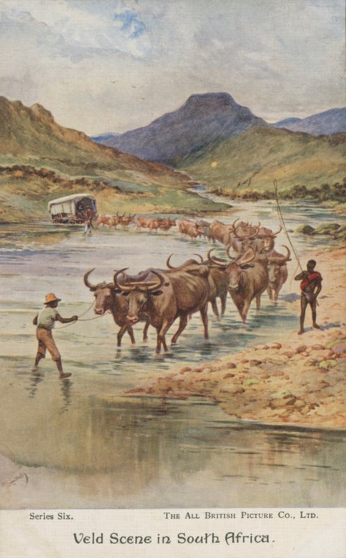 Agricultores arreando ganado, Sudáfrica (litografia en color) de Evelyn Stuart Hardy