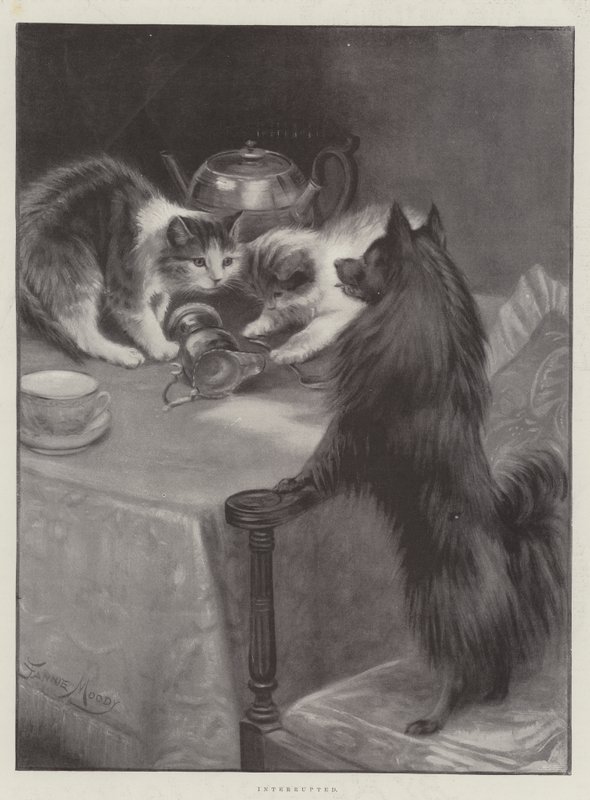 Interrumpido de Fannie Moody