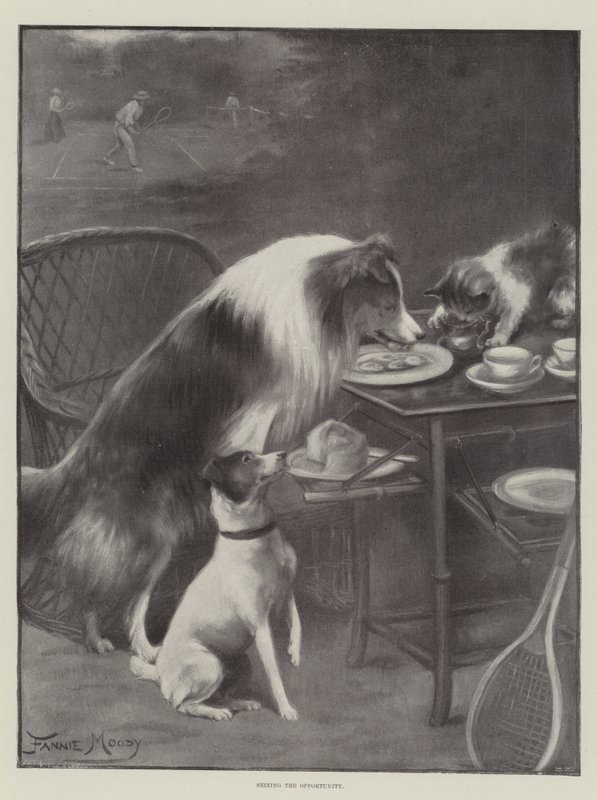 Aprovechando la Oportunidad de Fannie Moody