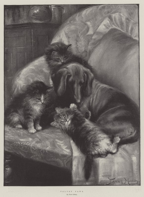 Patas de Terciopelo de Fannie Moody