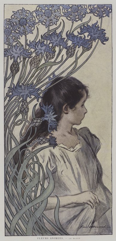 Flores animadas. El aciano de Firmin (after) Bouisset