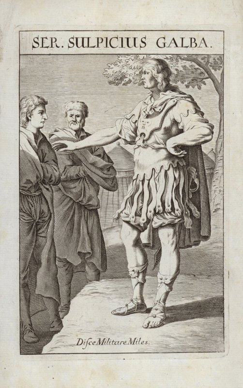 Ser Sulpicius Galba de Flemish School