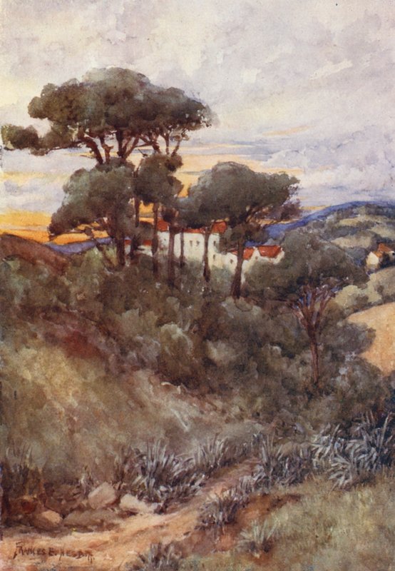 Stone Pines, Argel (litografía en color) de Frances Nesbitt