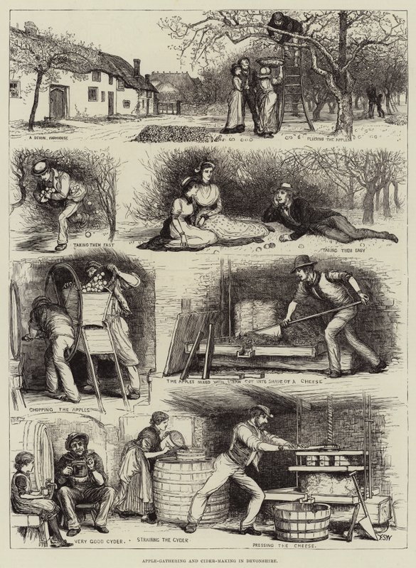 Recolección de manzanas y elaboración de sidra en Devonshire de Francis S. Walker