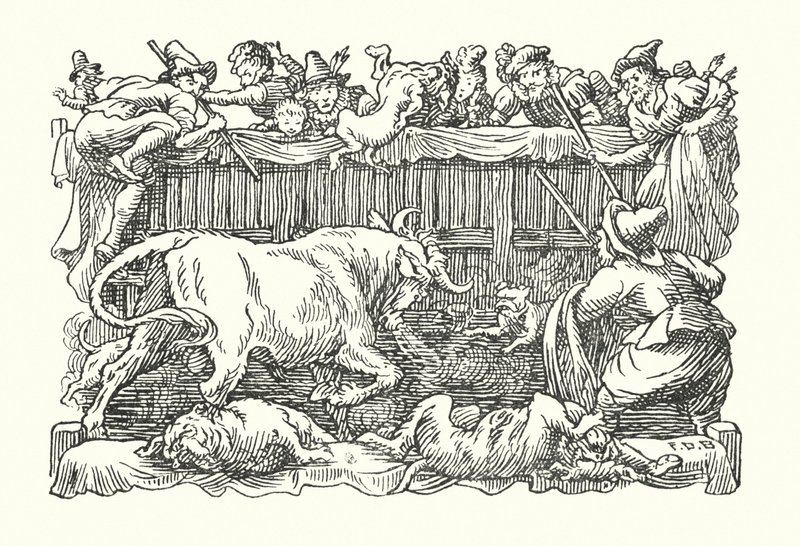 Merrie England: Bull baiting (litho) de Francis Donkin Bedford