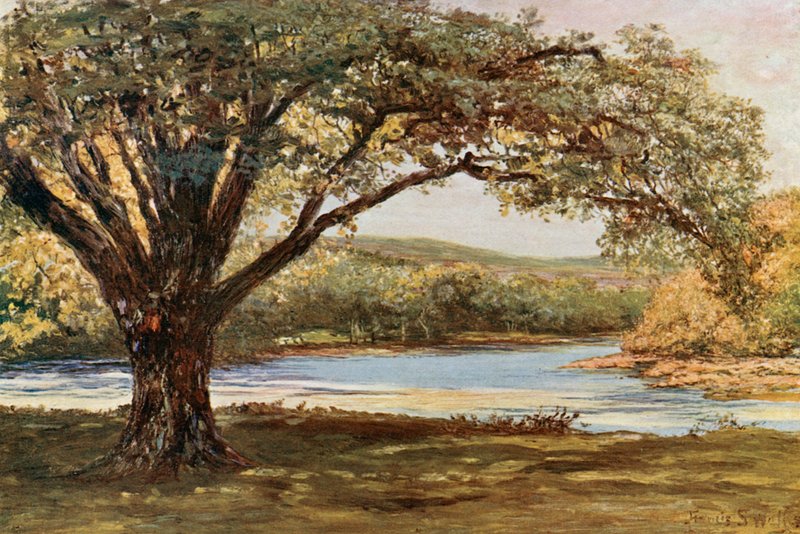 El valle de Avoca de Francis S. Walker