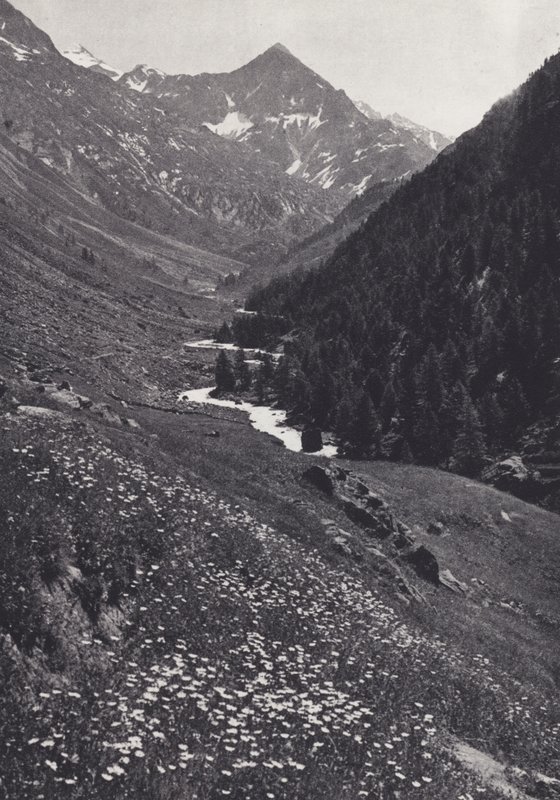 Alpes Orientales: En el Tal Windach (foto en blanco y negro) de Francis Sydney Smythe