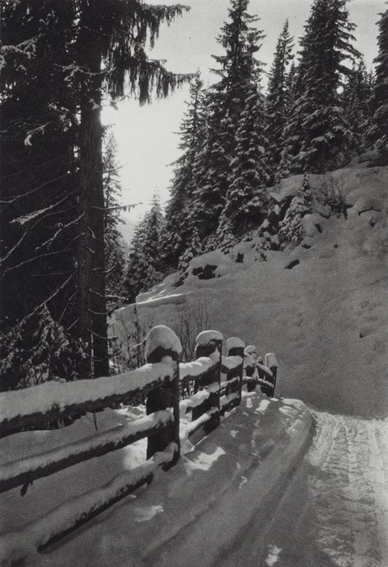 Los Alpes: Mañana de invierno, cerca de St Anton (foto en blanco y negro) de Francis Sydney Smythe