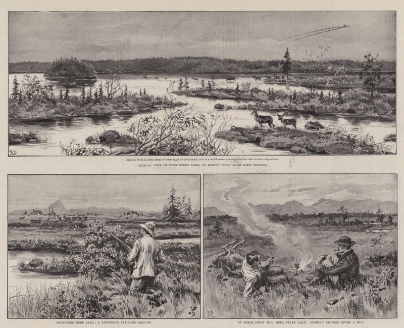 Agricultura y deporte en Terranova de Frank Dadd
