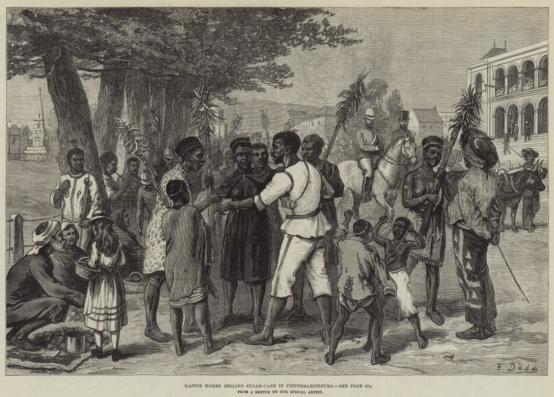 Mujeres cafres vendiendo caña de azúcar en Pietermaritzburg de Frank Dadd