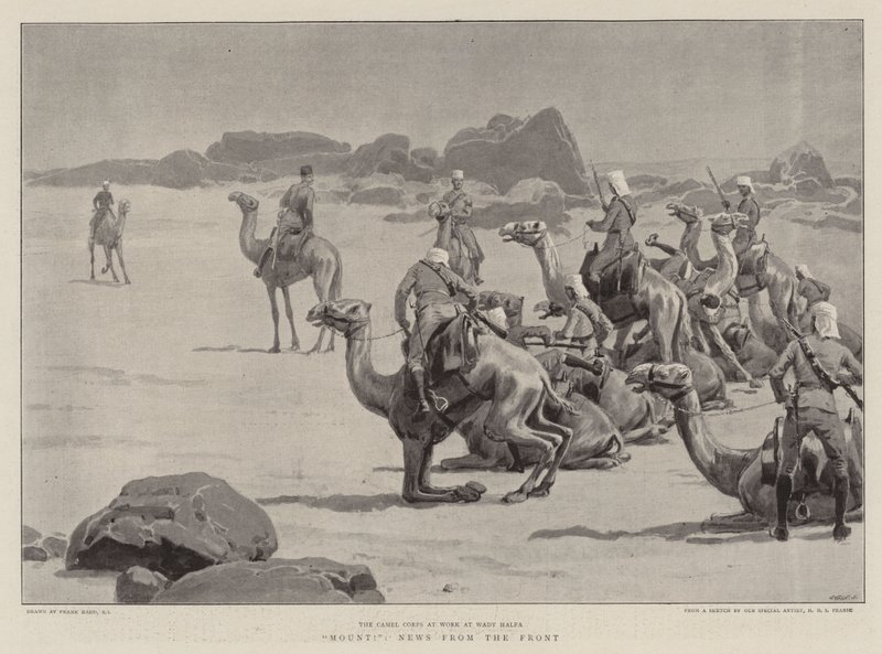 ¡Montar!, Noticias del frente de Frank Dadd