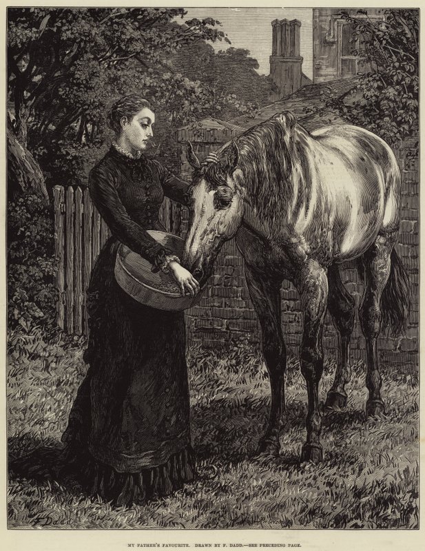 El favorito de mi padre de Frank Dadd