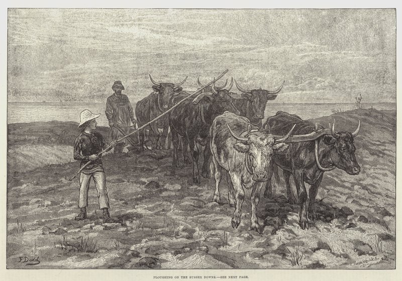 Arando en los Sussex Downs de Frank Dadd