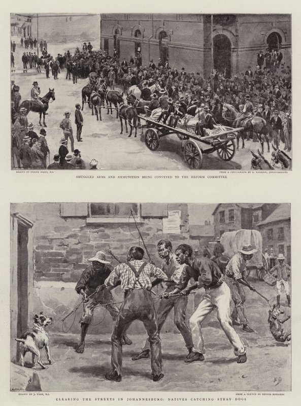 La crisis del Transvaal de Frank Dadd
