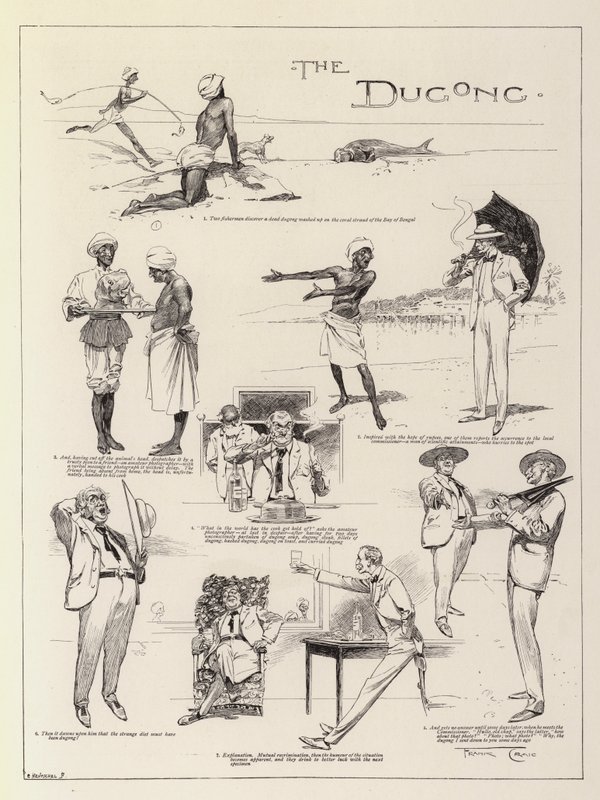 El dugongo de Frank Craig