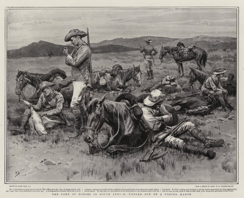 El cuidado de los caballos en Sudáfrica, agotados en una marcha forzada de Frank Dadd