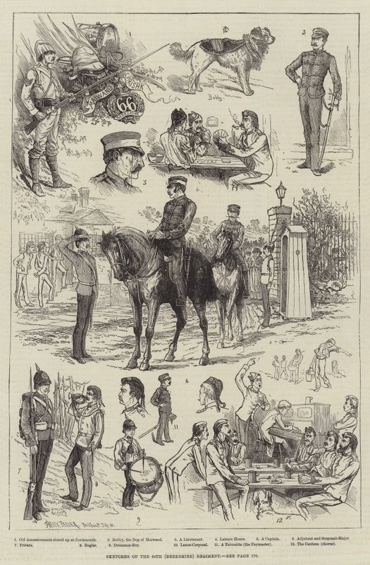 Bocetos del 66º Regimiento (Berkshire) de Frank Feller